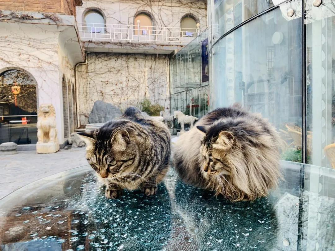 大家期盼的真实事件,掉缸事件怎么处理