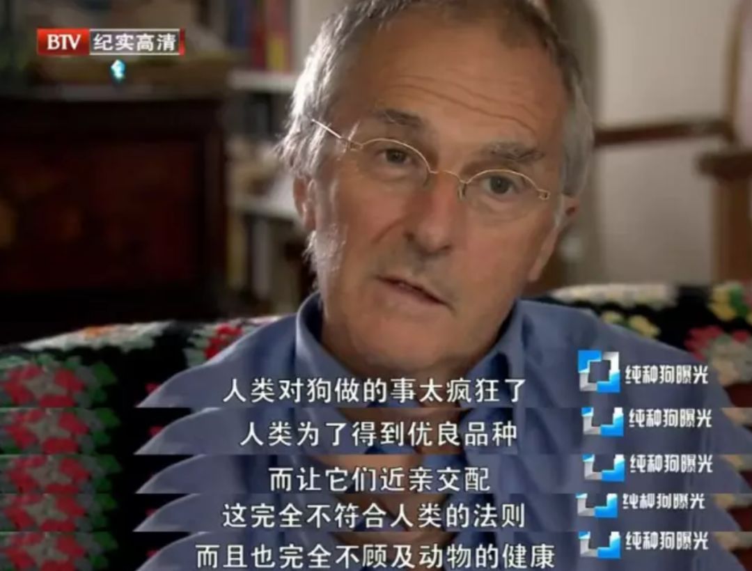 你有什么资格说爱我吗,你有什么资格说爱我完整版