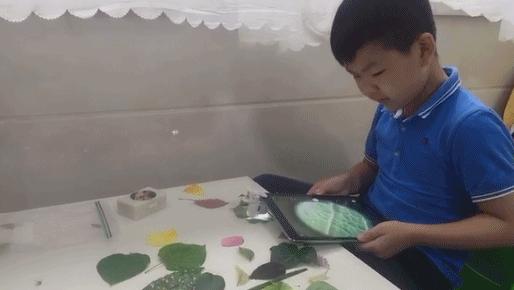 提高宝宝运动能力的玩具推荐,适合儿童的启蒙玩具