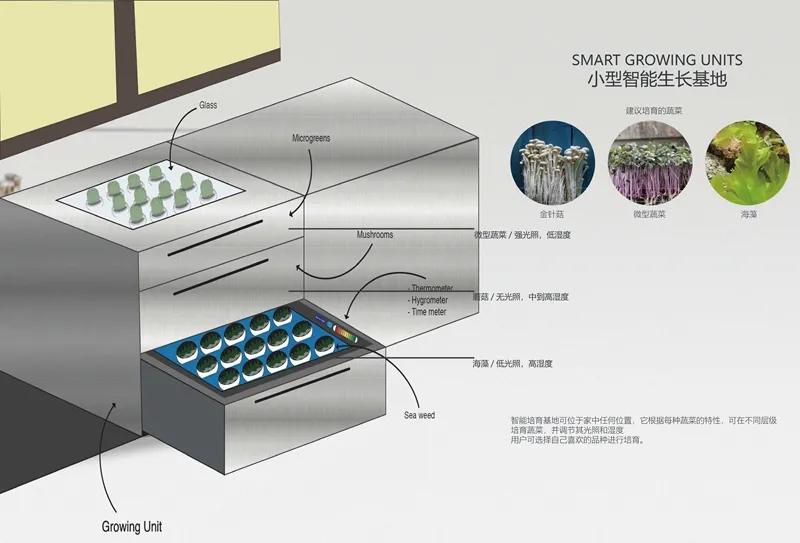 食物设计案例,健康饮食的设计意图