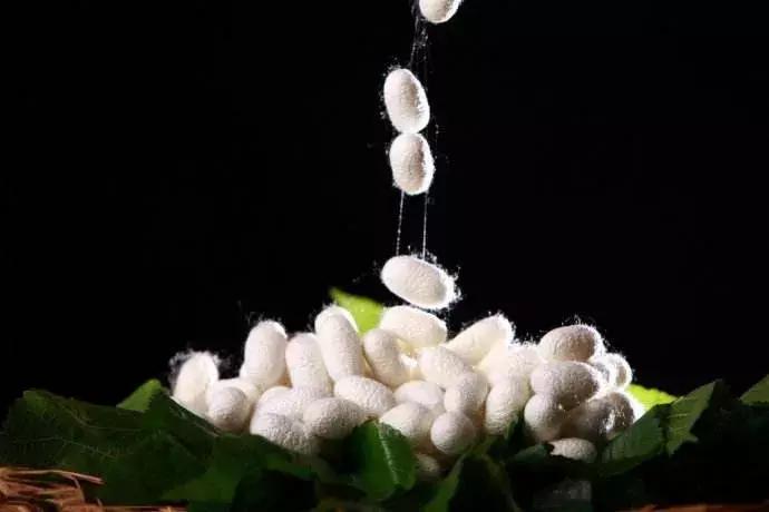 真蚕丝贵吗,真品蚕丝