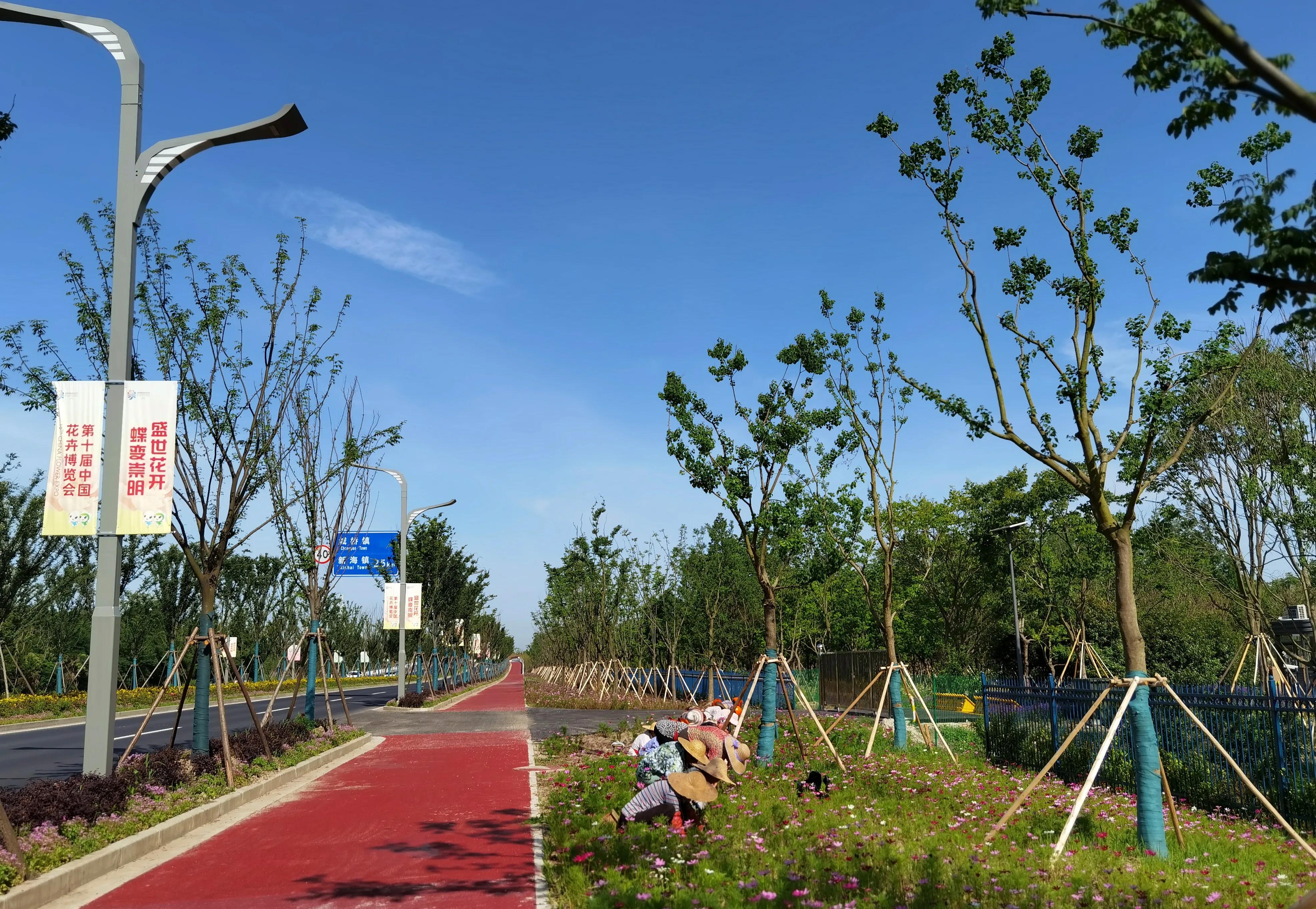 关于崇明花博会,崇明花博会全程花景