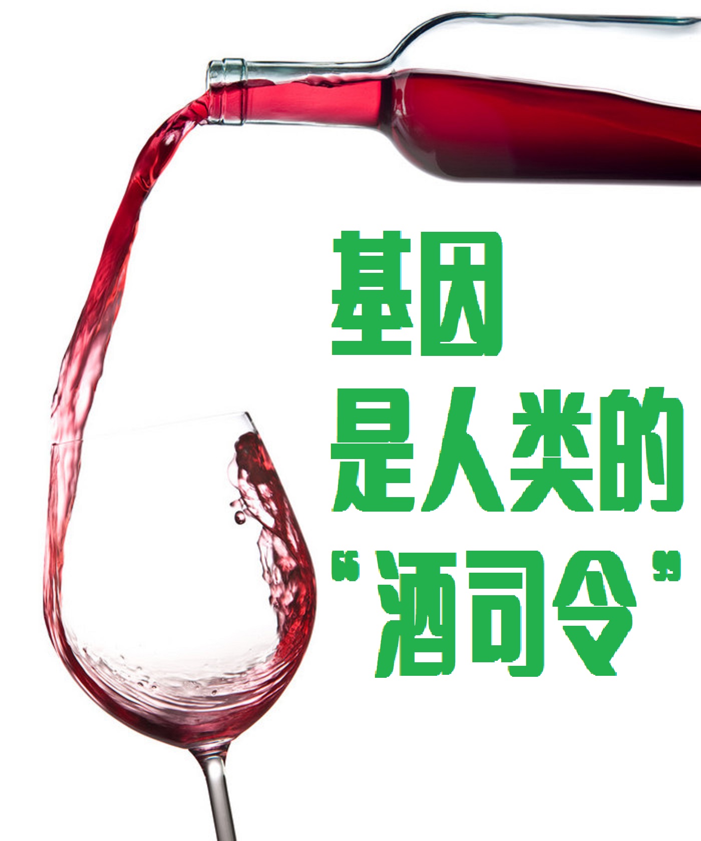 基因是人类的“酒司令”