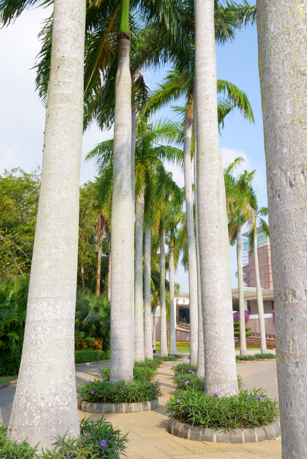 财源茂盛达三江的三江指哪里,财源广进达三江的三江是什么意思