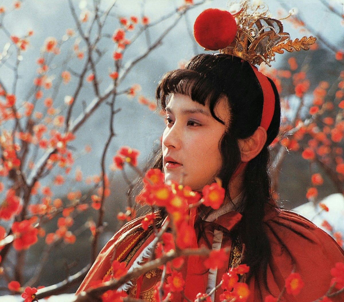 宝钗和钗黛合一,宝钗和黛玉之争