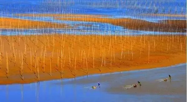 下半年旅行最佳时间表,2023最佳旅游时间表