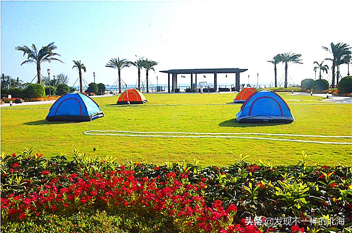 假如北海开发商都参与了北海银滩西区绿化建设，那北海就够靓了