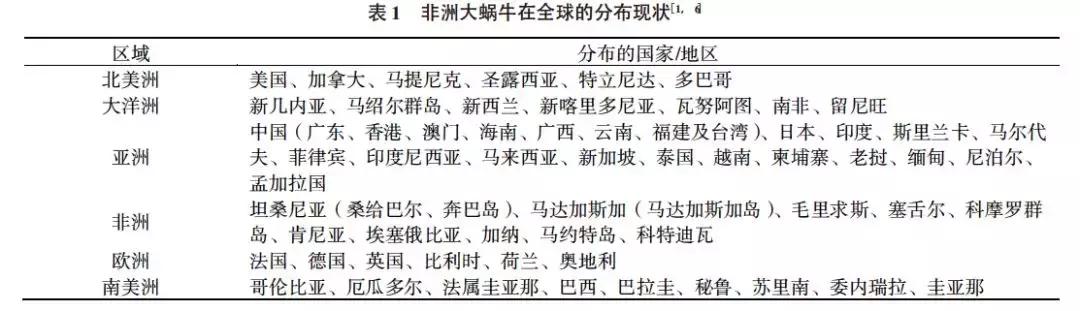 暴雨过后见到这种大蜗牛千万别碰,大雨后遍地爬的大蜗牛别碰也别吃