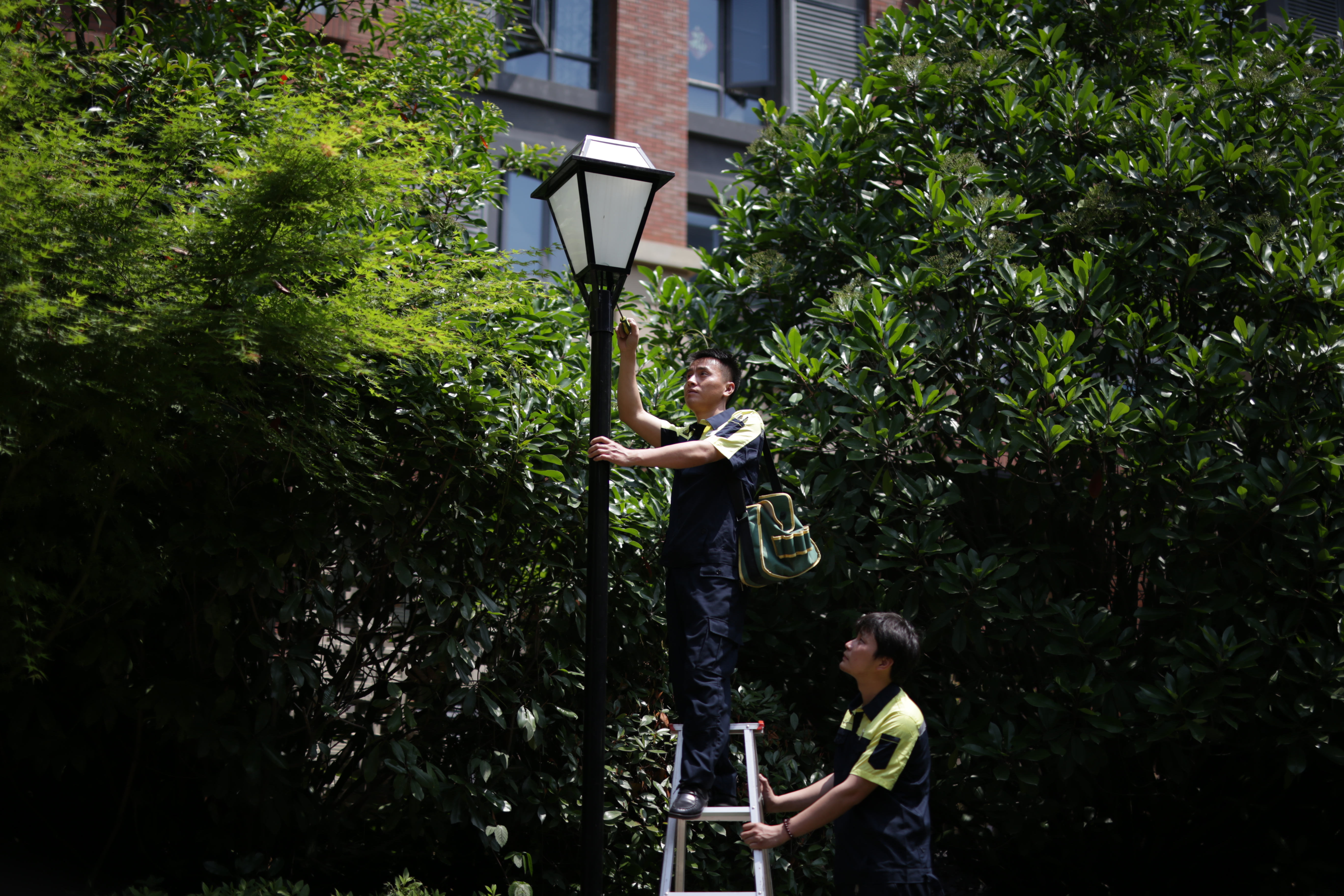 学林雅苑简介,学林雅苑三期