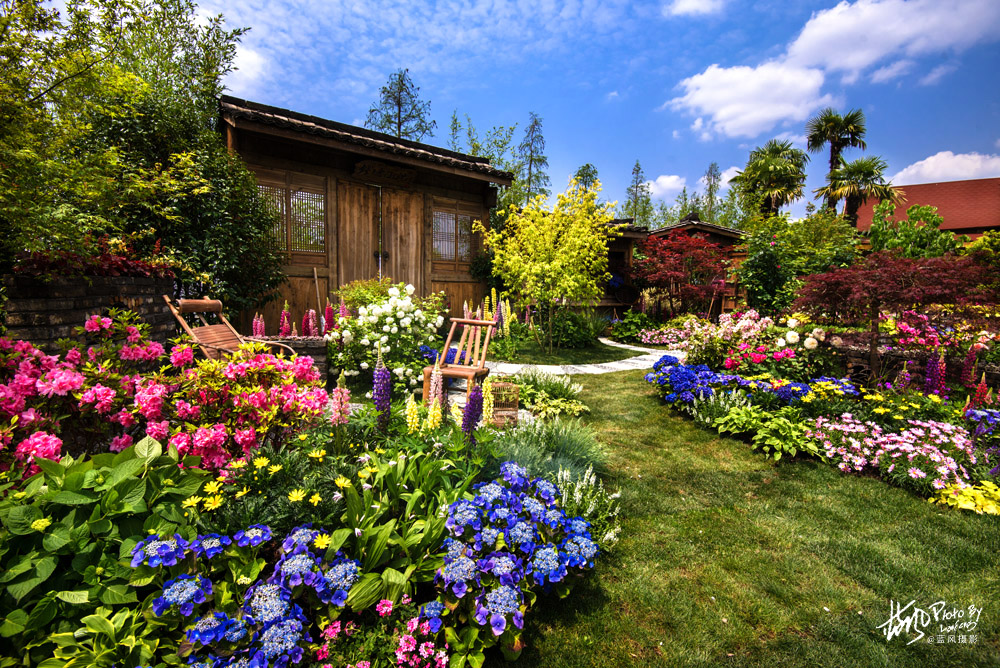 上海国际花展一览表,上海国际花展一览