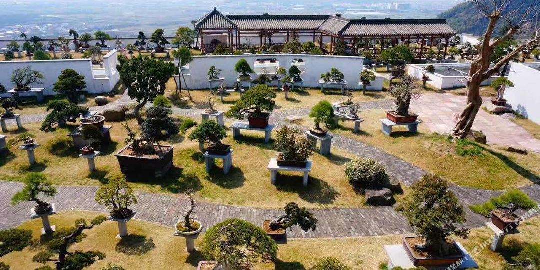 宁波4a星级旅游景点,请介绍一下宁波市的旅游景区