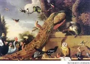 朋友圈炫富高级感,朋友圈的炫富一族到底是真富吗