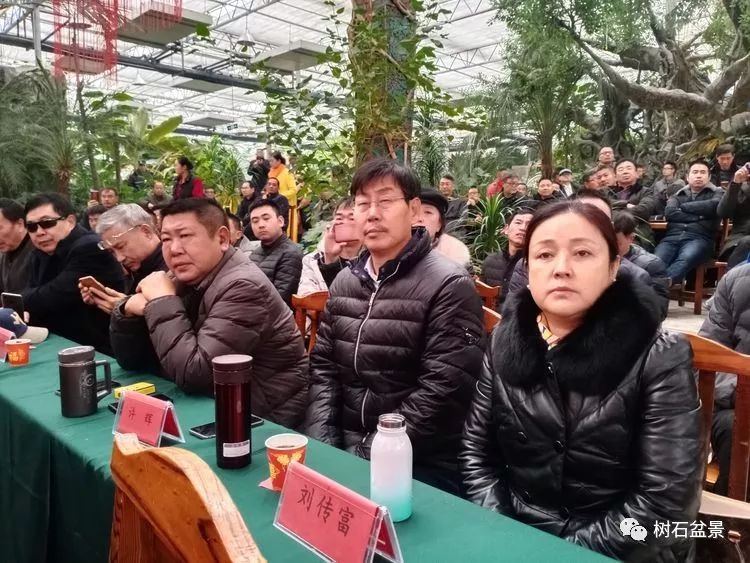 伟大使命复兴中国盆景艺术事业——2019中盆会大事回顾(下篇)