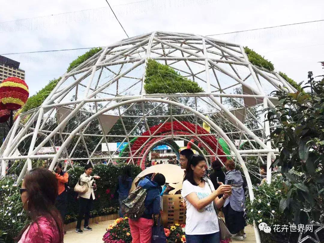 香港花卉艺术展,共赴盛会活动