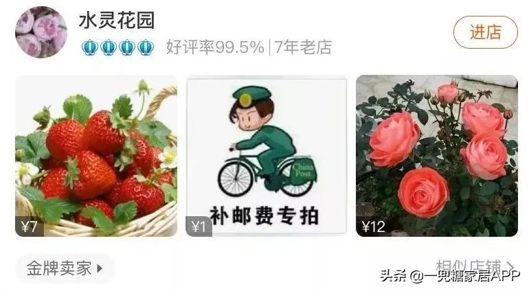 春天花会开|这20家植物淘宝店，植物杀手看了也想买！