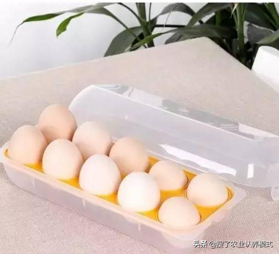 鸡蛋买多了怎么办？传授几种简单贮存方法，收藏起来一定有用