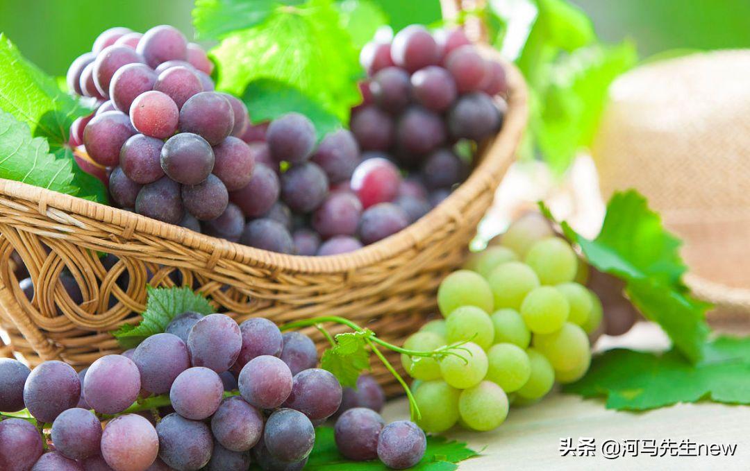 孕期吃哪些食物既营养又安胎,孕妇吃什么食物有助于安胎效果好