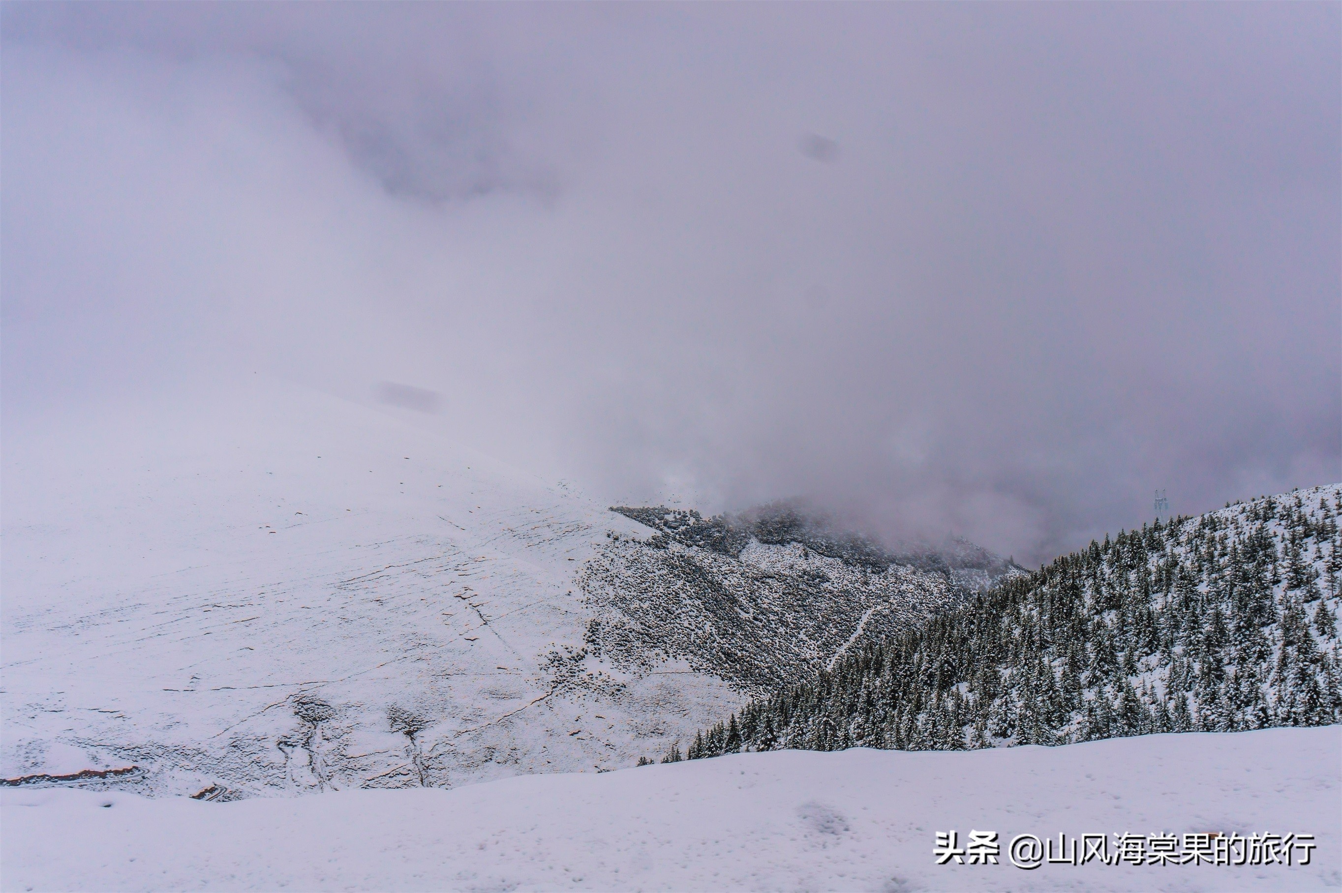 摩旅318去稻城亚丁,2个人自驾去稻城亚丁多少钱