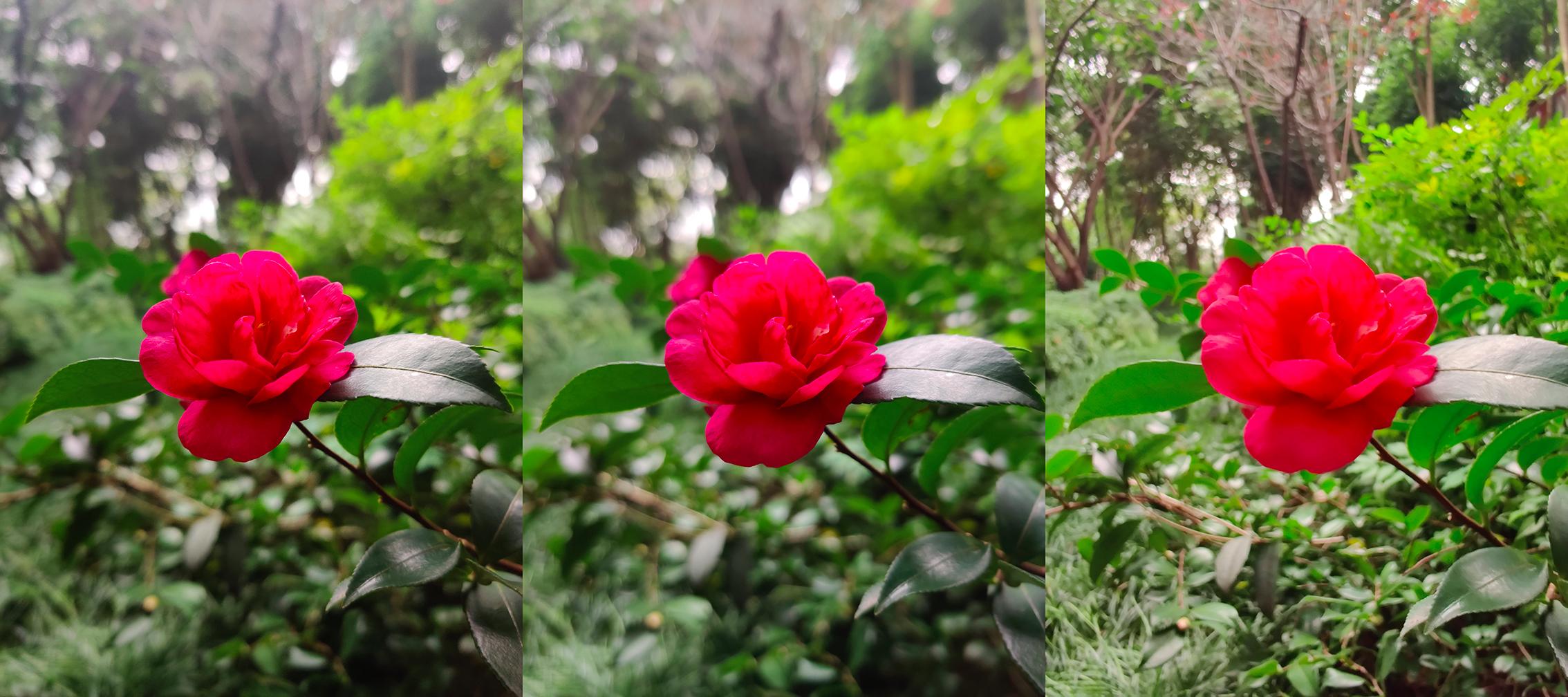 一加7tpro和一加oneplus7t,一加7pro与一加7tpro测评