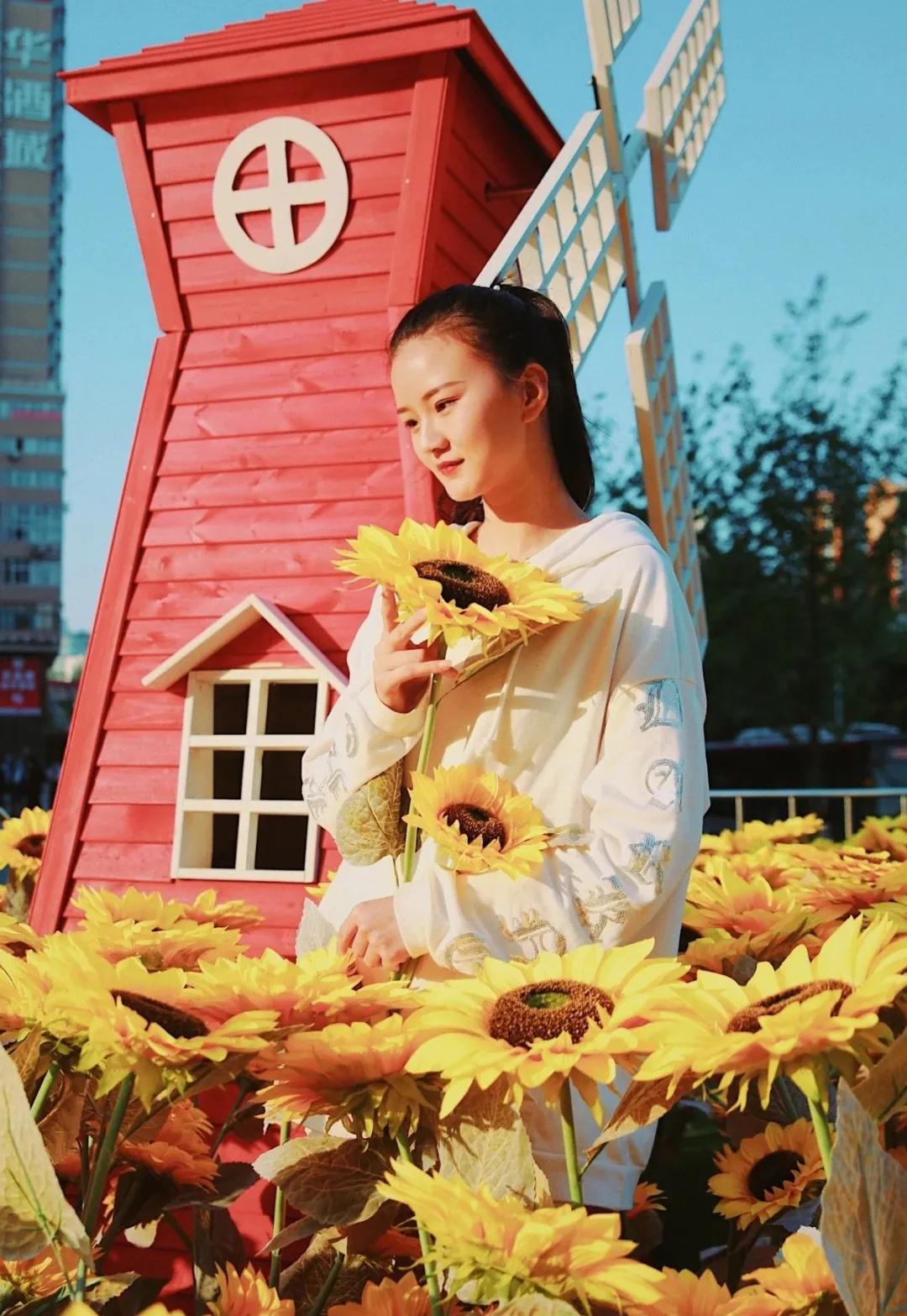 十堰向日葵花海打卡网红地,十堰美丽的地方