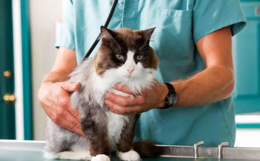 最新紧急扩散信息,紧急扩散急寻新消息