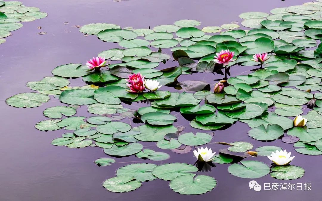 巴彦淖尔五一去处,巴彦淖尔市端午小长假适合去哪玩