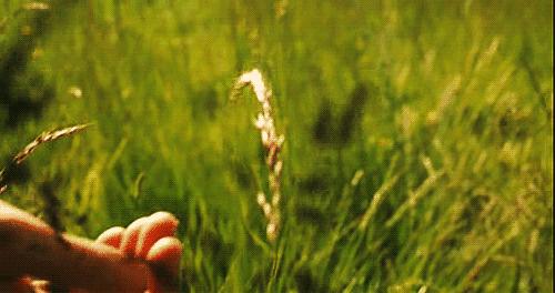 谁在*光春**里，候我釆花归