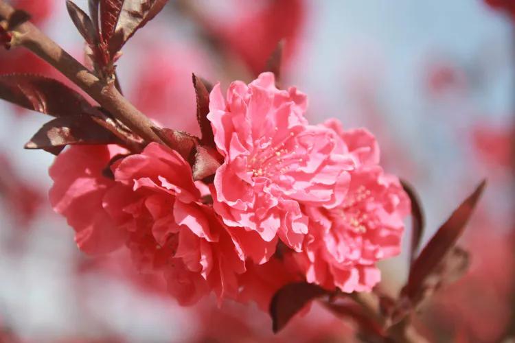 坚定信心同舟共济实现民族复兴,坚定信心共克时艰战贫战疫必胜