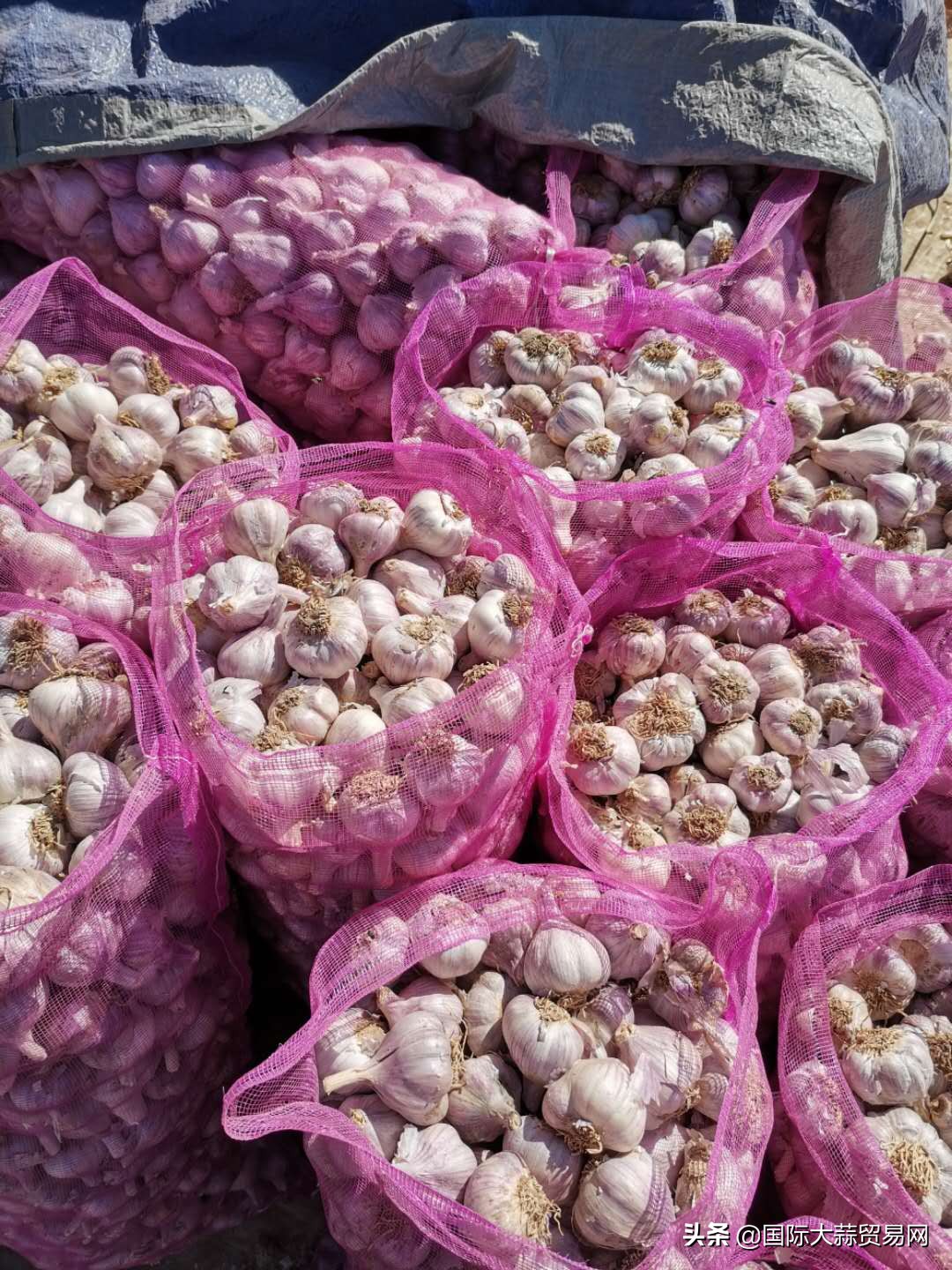 2020年7月23日：雨后上货增多买家拿货压价