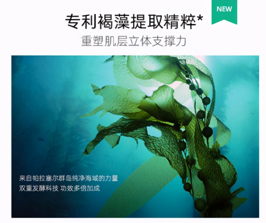 护肤品适合油皮的品牌瑷尔博士,618护肤好物水乳瑷尔博士