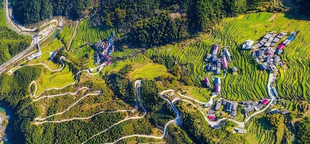 衢州周末吃喝玩乐推荐,衢州当地美食去哪里吃