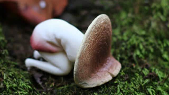 月经前两个星期怎么做能预防痛经,有什么方法可以不痛经吗