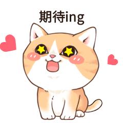 老是担心自己有乳腺癌怎么办,乳腺癌患者妇科有炎症怎么办