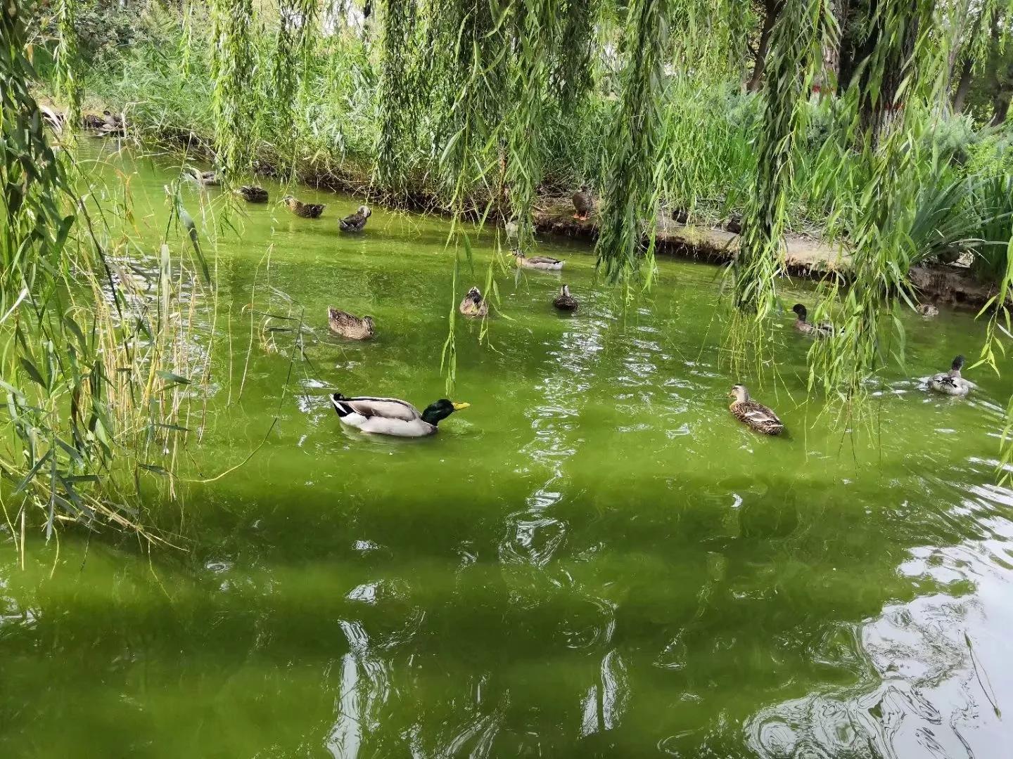 太原去哪里看秋景,太原的秋景有哪些