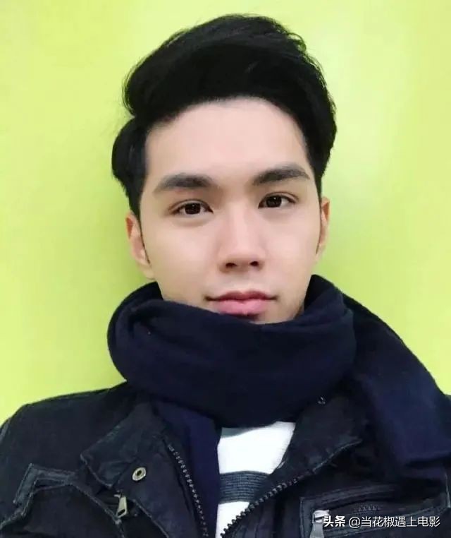 鳌拜王俊棠的儿子,王俊棠鳌拜