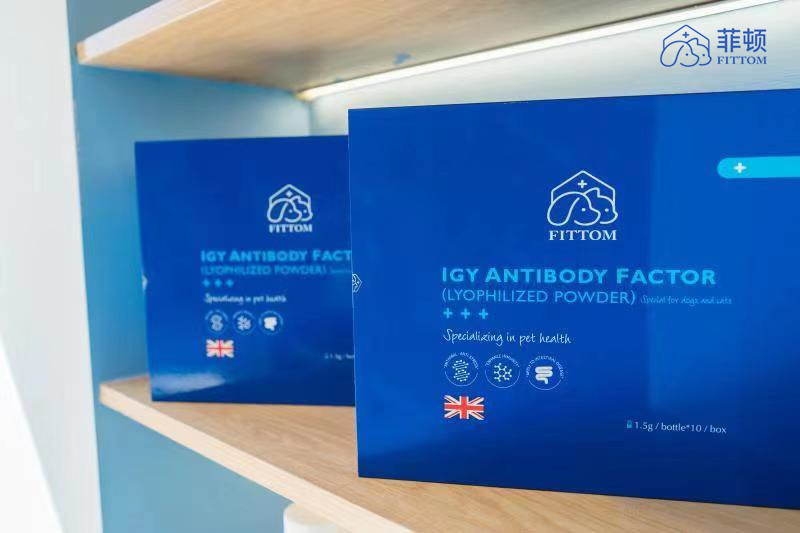 广州菲顿宠物线下康复靠谱吗,菲顿宠物