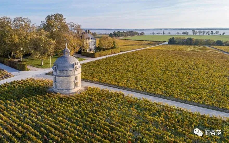 柳青回应加入开云集团,滴滴柳青开云董事长