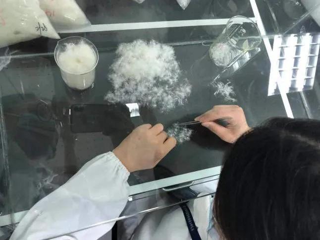 月薪一万买3000羽绒服贵吗,月入一万才能买的羽绒服