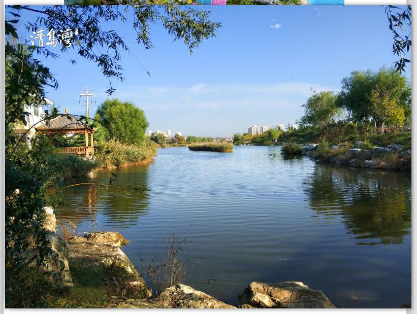 南海新区具有什么特点,南海新区详细介绍