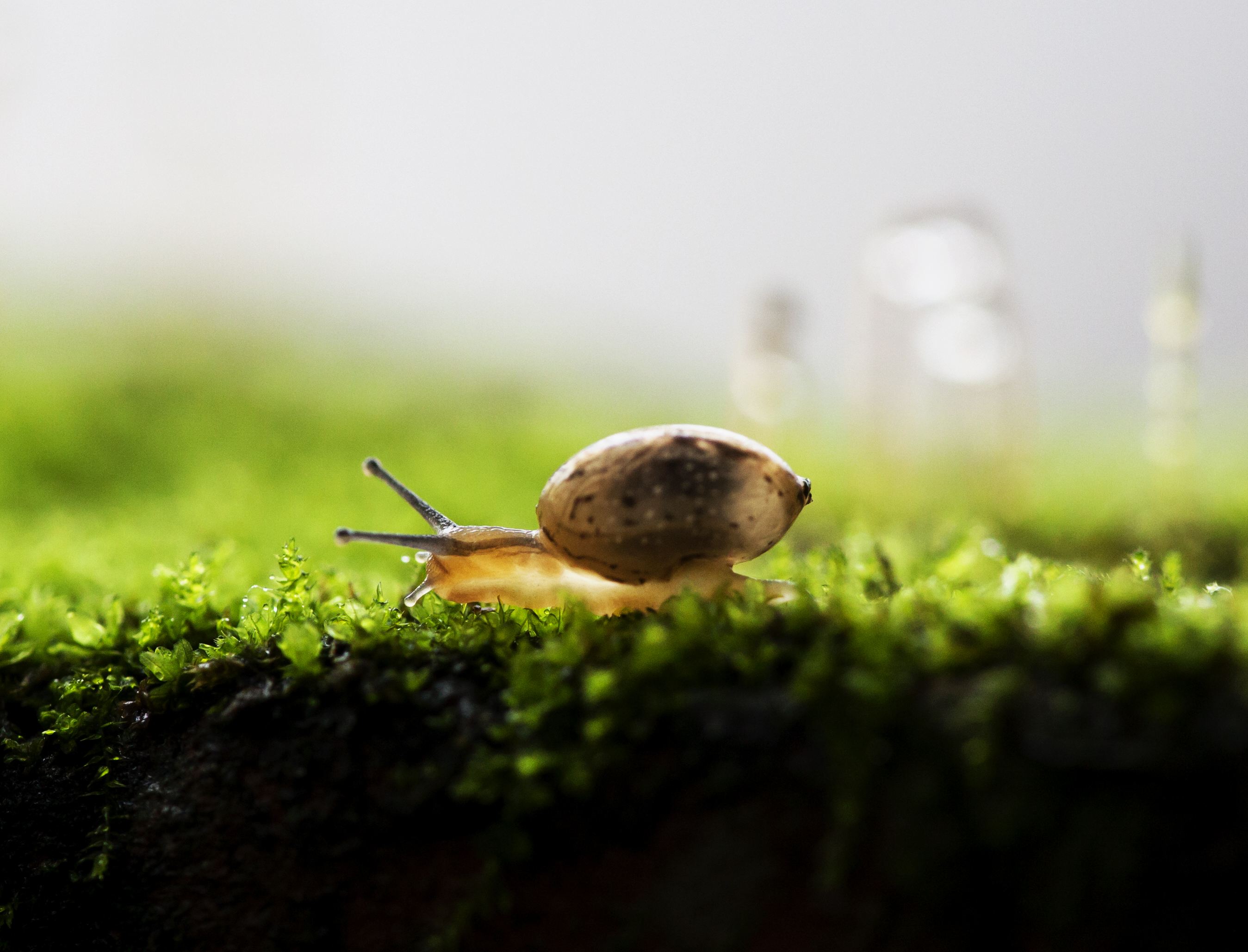 汉字起源刻画说,简述汉字源流变化过程