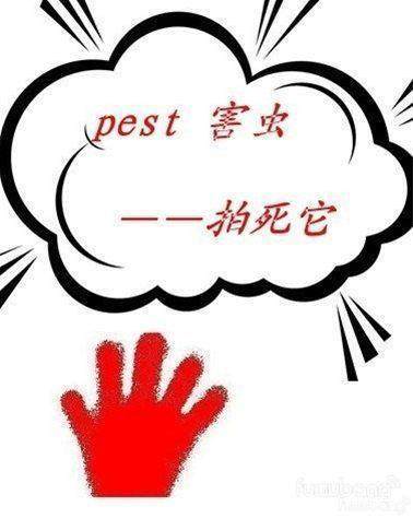 过目不忘的10大记忆秘诀,过目不忘十大记忆法