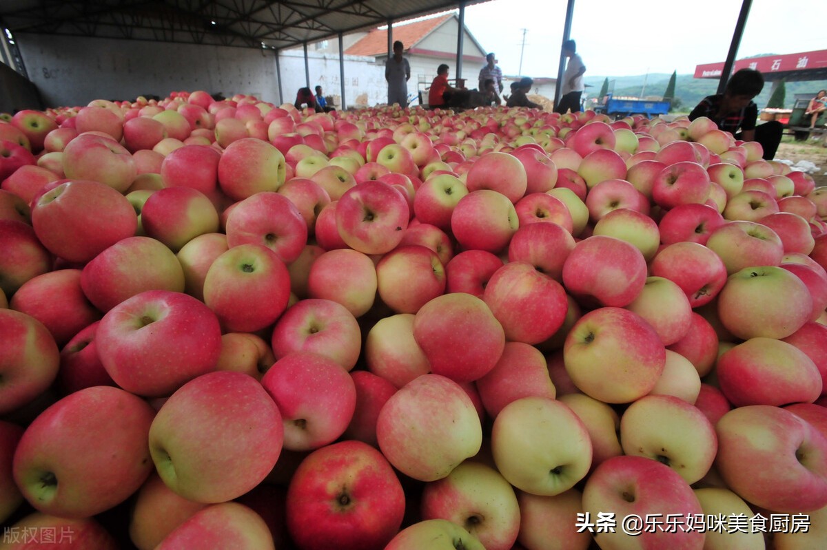 入秋必吃的水果,入秋后这5种时令水果放开了吃
