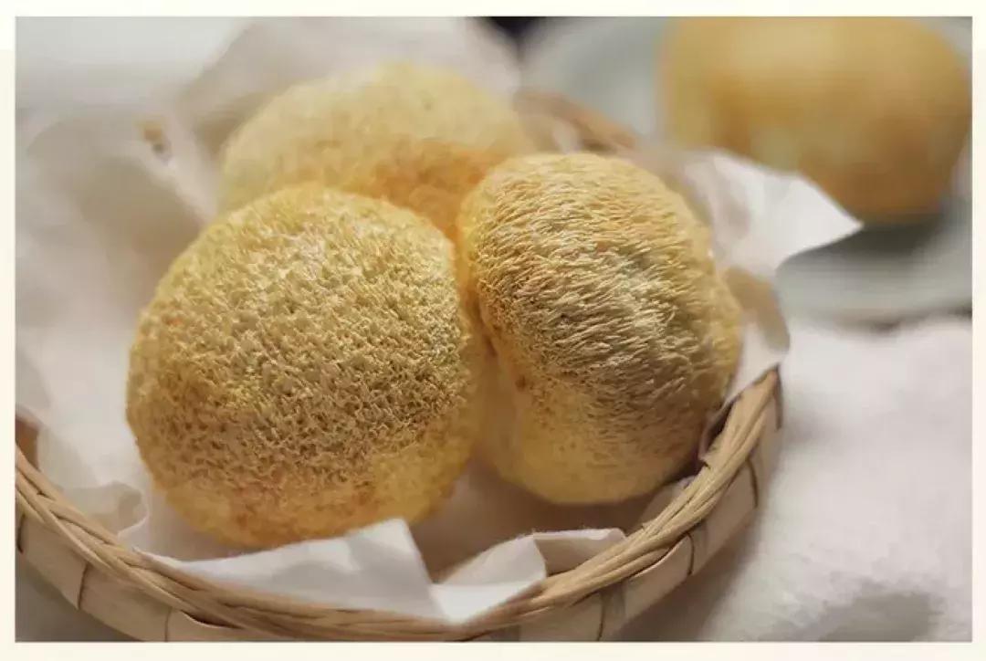 最滋补的菌菇,十种最好吃的菌菇名字