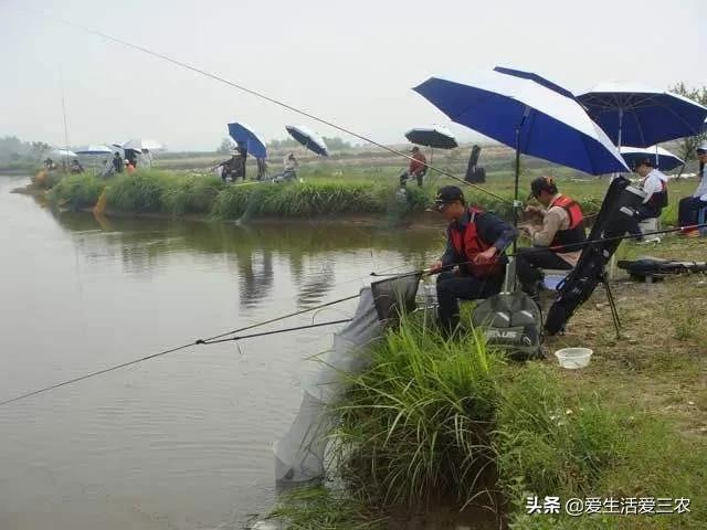 在农村如何致富,农村也能致富的小妙招