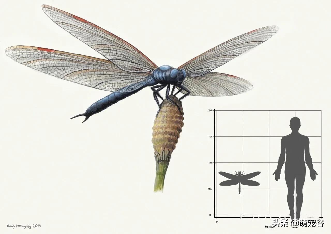 巨型蜈蚣长三米,世界上最长的3米巨型蜈蚣