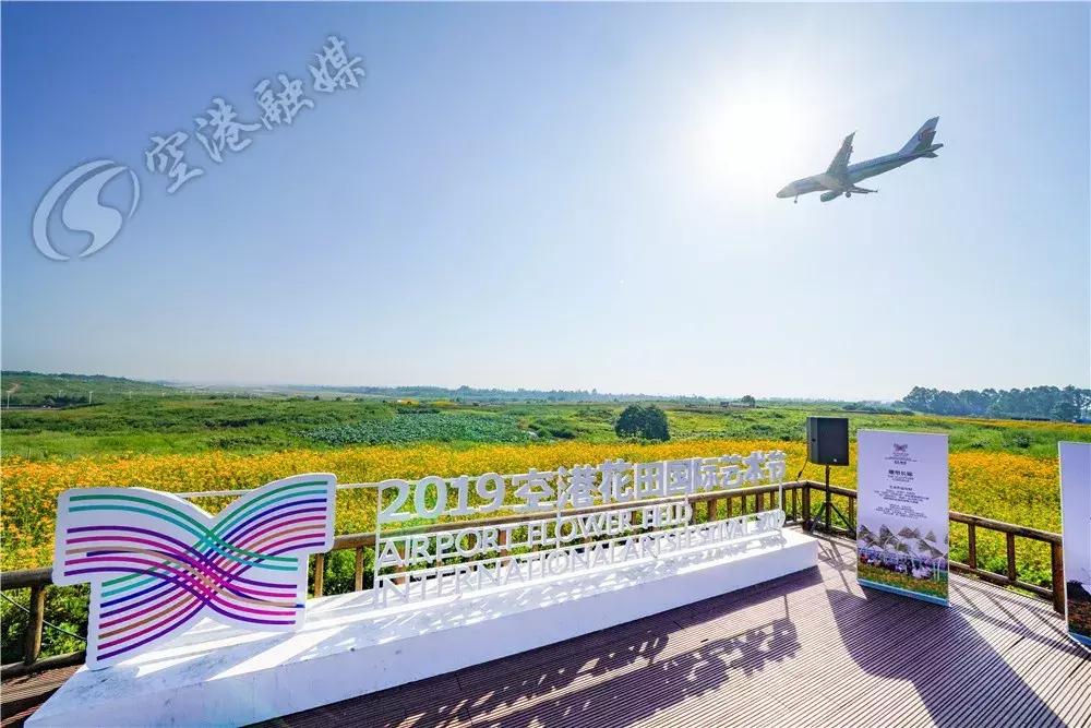 双流哪里可以赏花看飞机,双流附近赏花攻略路线