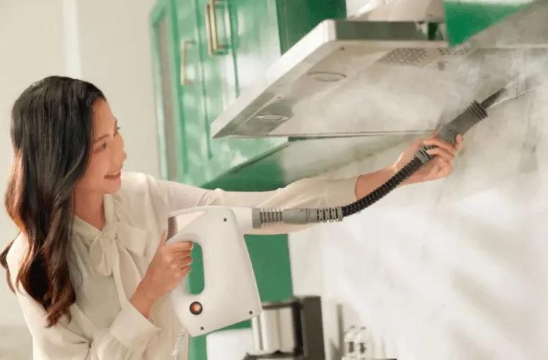 家用蒸汽除菌清洗机,家庭最好用的蒸汽清洗机