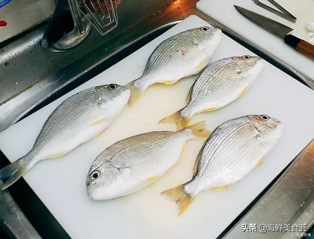 黄翅鱼如何分辨野生和养殖 (怎么看黄翅鱼是不是野生的)