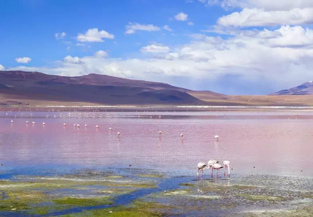 景美人少适合去哪里旅游,景美人少的旅游景点