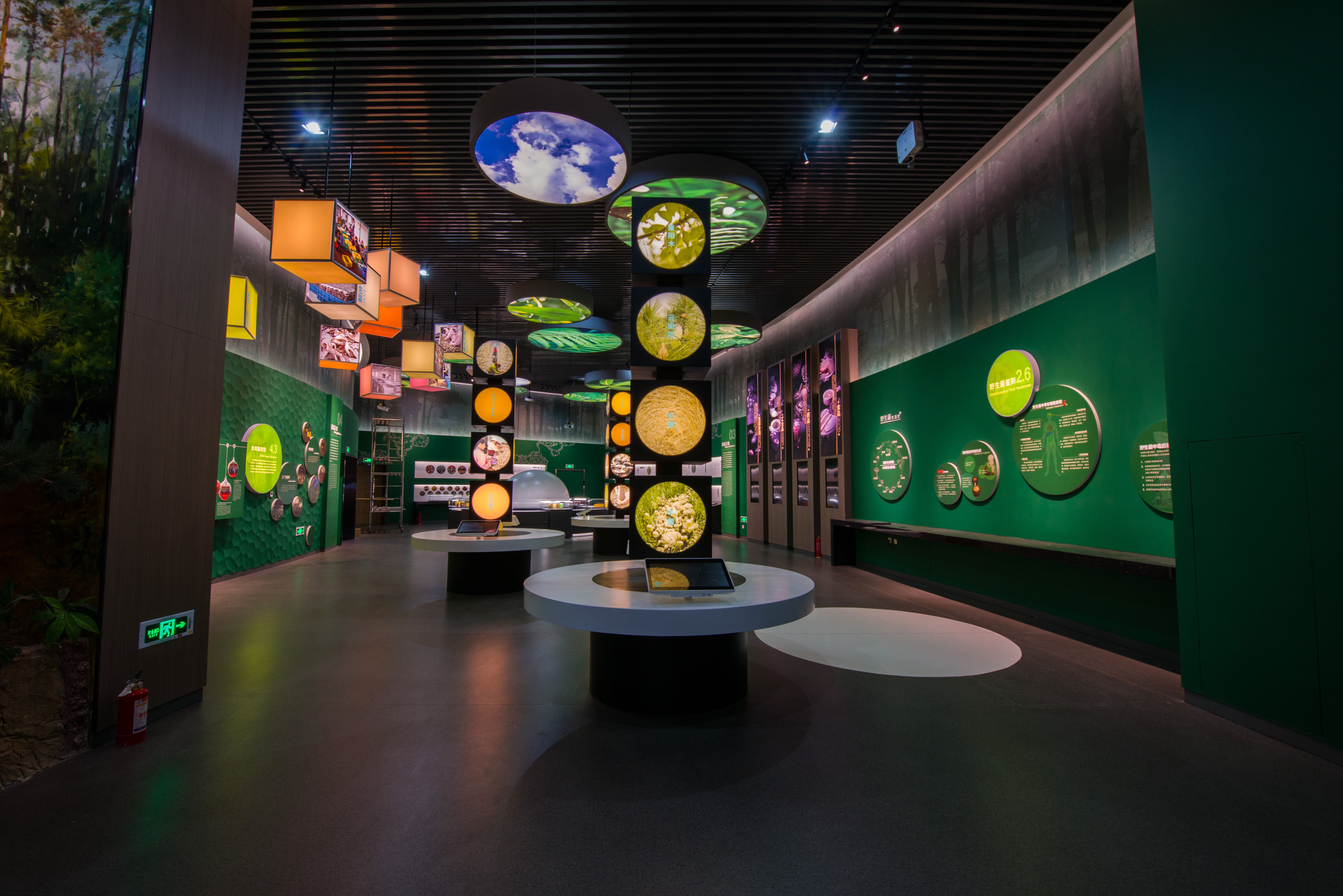 易门县食用菌产业发展,易门县食用菌产业发展得怎么样